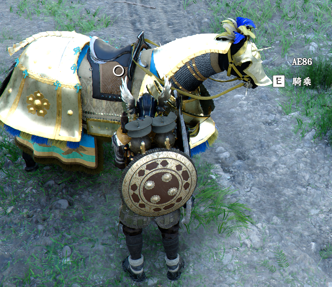 pet1