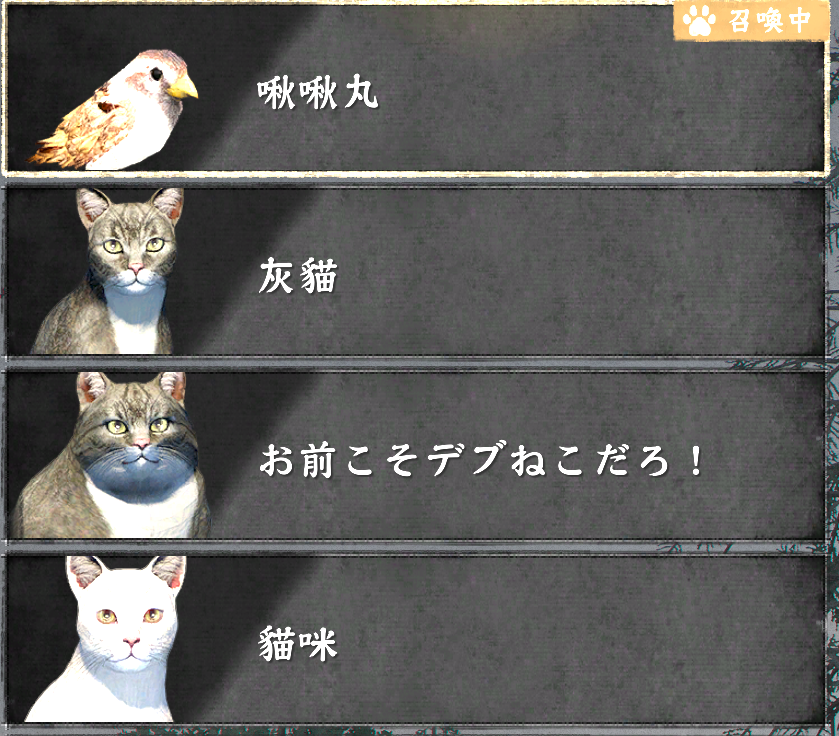 pet2